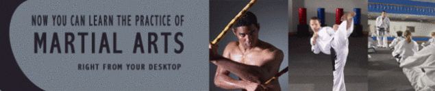 Product picture Learn Martial Arts on your Computer